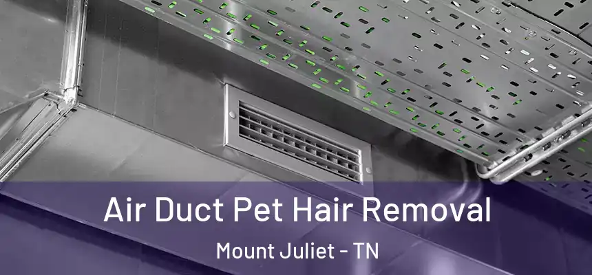  Air Duct Pet Hair Removal Mount Juliet - TN