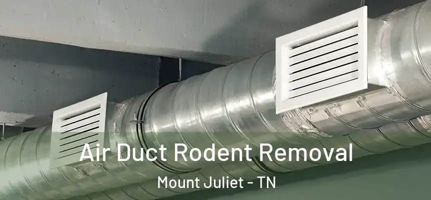 Air Duct Rodent Removal Mount Juliet - TN