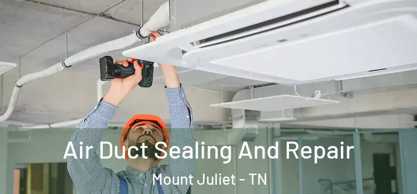 Air Duct Sealing And Repair Mount Juliet - TN