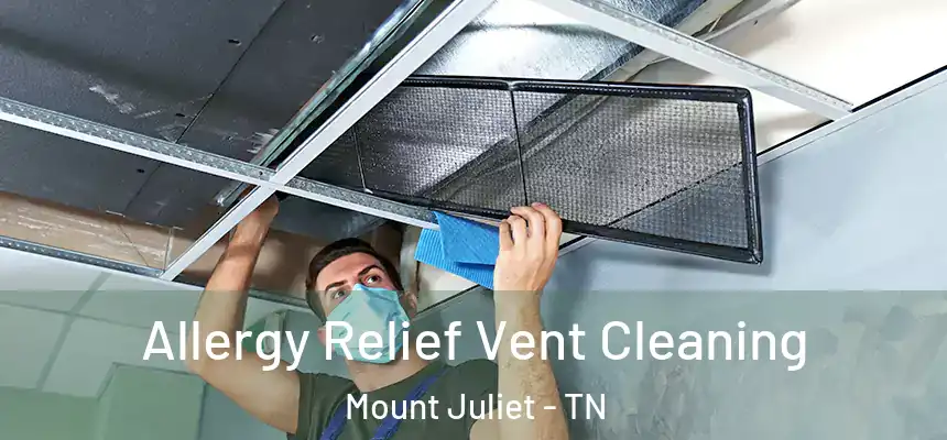  Allergy Relief Vent Cleaning Mount Juliet - TN