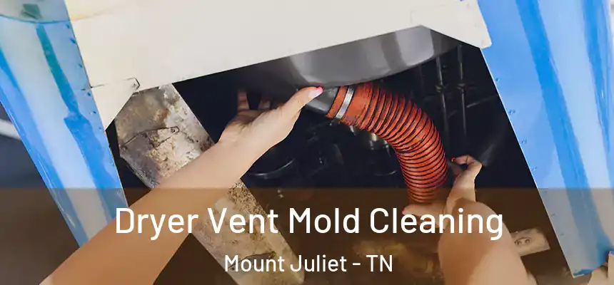Dryer Vent Mold Cleaning Mount Juliet - TN