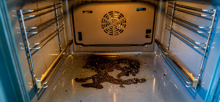 Our Dryer Vent Mold Cleaning Services in Mount Juliet, TN