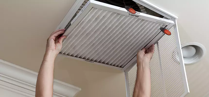 Our Insect Removal from Air Ducts Services in Mount Juliet, TN