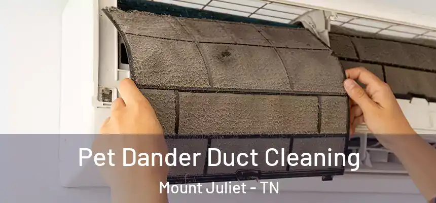 Pet Dander Duct Cleaning Mount Juliet - TN