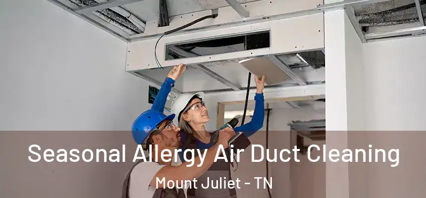  Seasonal Allergy Air Duct Cleaning Mount Juliet - TN