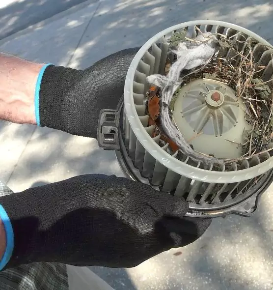 About Air Duct Rat Removal in Mount Juliet, TN