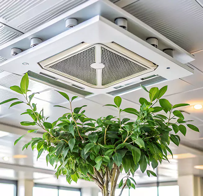 Why Homeowners & Businesses Trust Us in Mount Juliet, TN?