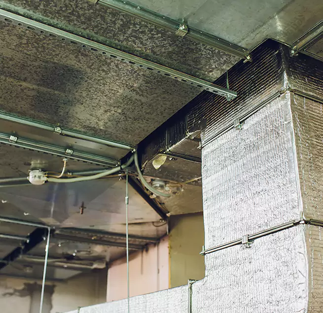 Why Homeowners & Businesses Trust Us in Mount Juliet, TN?