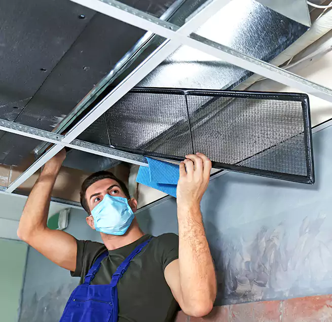 Why Homeowners Businesses Trust Us in Mount Juliet, TN