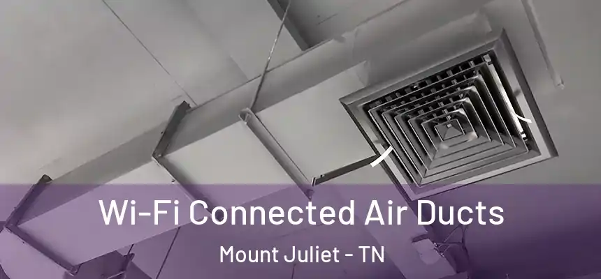 Wi-Fi Connected Air Ducts Mount Juliet - TN